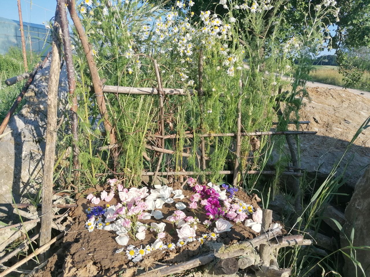 Ackergemeinschaft Linzgau 2023