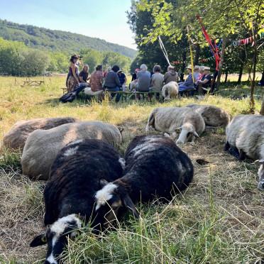 Begegnungshof Herzberg 2023_6