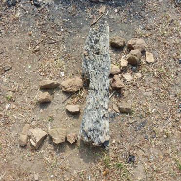 Wald, Wiese & mehr 2023_4